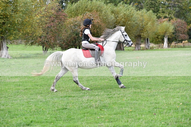 WJ5_1037 - Time 14:29 to 15:31