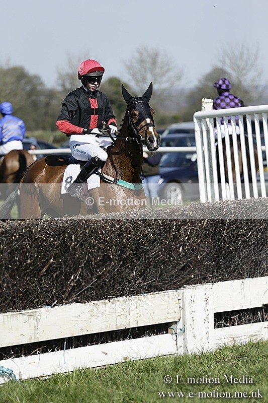 PtP 260317 170 - Mendip Farmers Point-to-Point Ston Easton 26/03/17