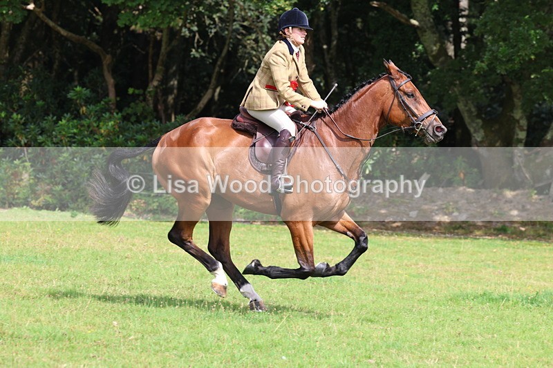 3E7A6145 - Working Hunter Championship