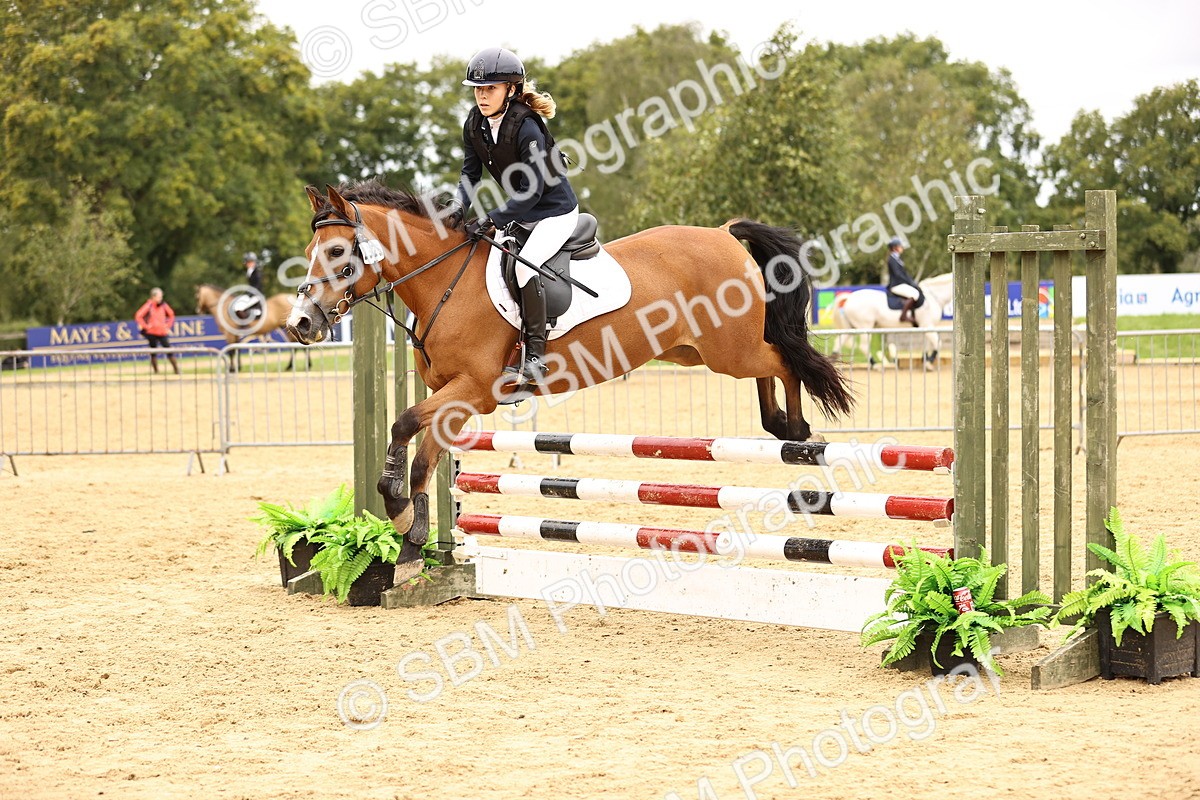 SBM_65650 - J17 - Junior Pony 80cm Championship