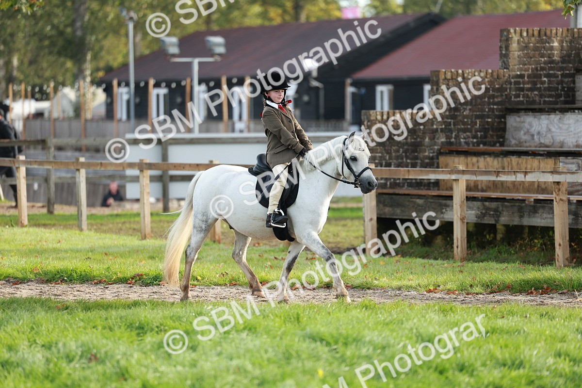SBM_56299 - S39 - Starters In Hand Showing