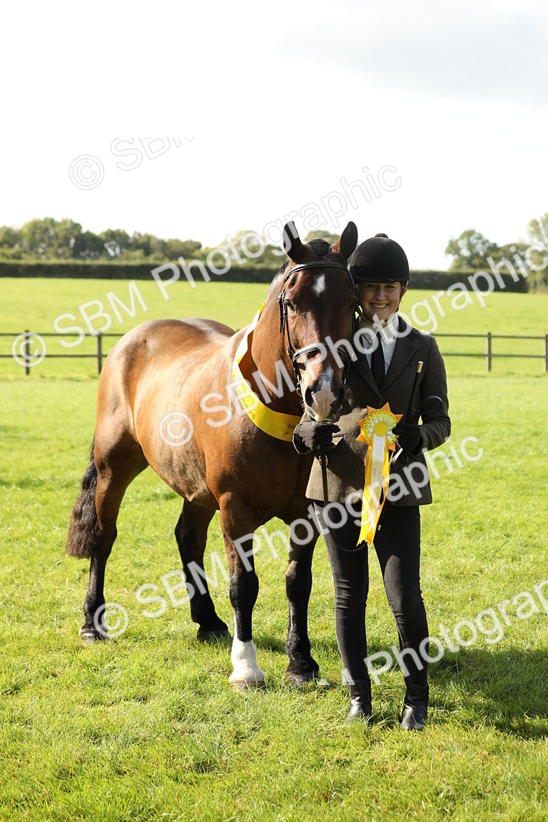 SBM_62352 - S45 - Mini Show Cob In Hand