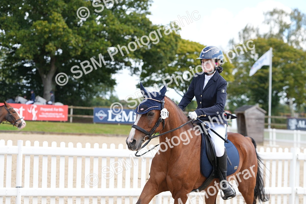 SBM_44315 - J7 - Junior Pony 60cm Championship