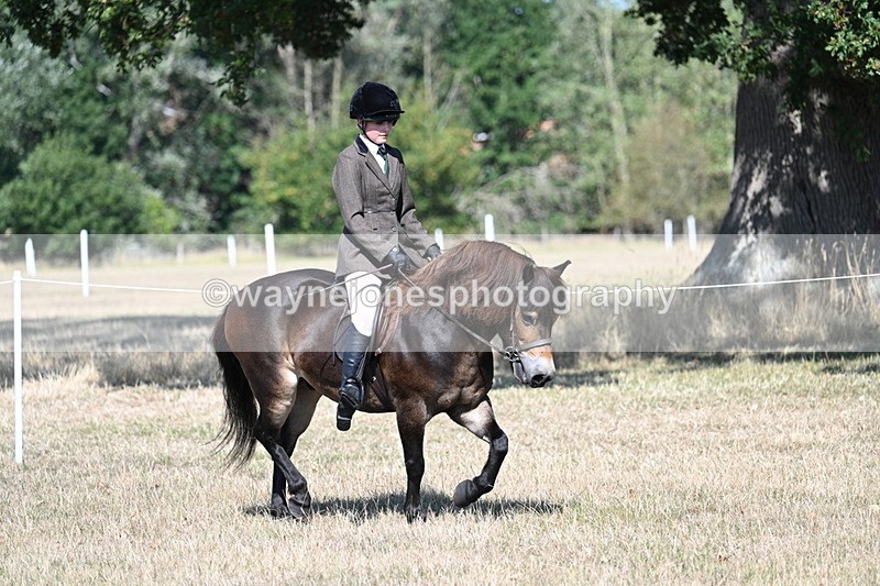 WJ7_3957 - Class 9 Mountain & Moorland Ridden