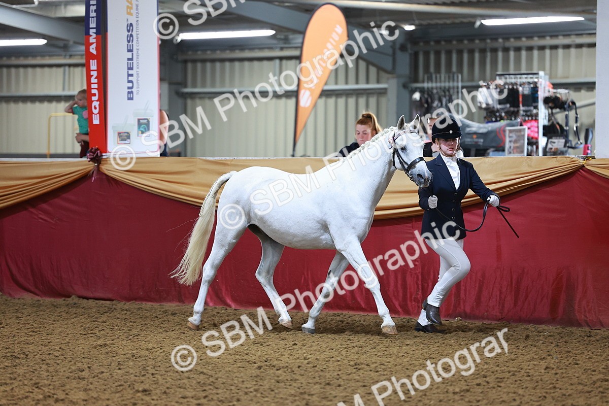 SBM_14661 - Class B - Junior Champ 11 to 16 Years
