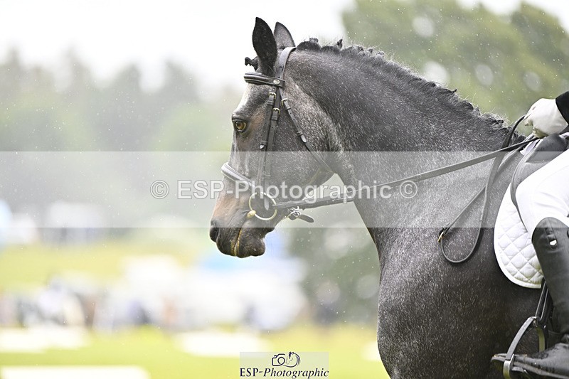 240824X-100620-21510 - D70 Section A and B 9.30 to 10.40