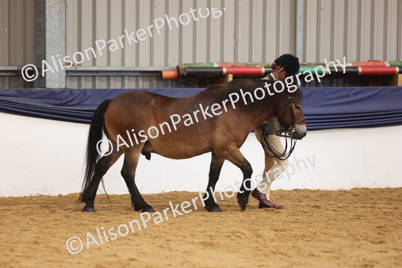 20260913-1689 - Class 115 - Gelding 4years and over