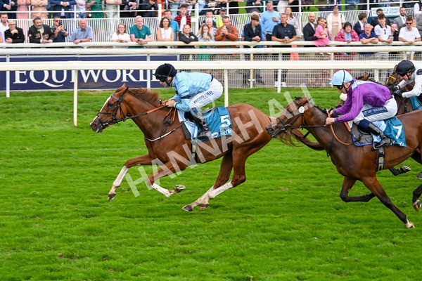 080925-Race 6-Rhapsody-7799 - Race 6 5.00pm Sky Bet Build A Bet Fillies' Handicap