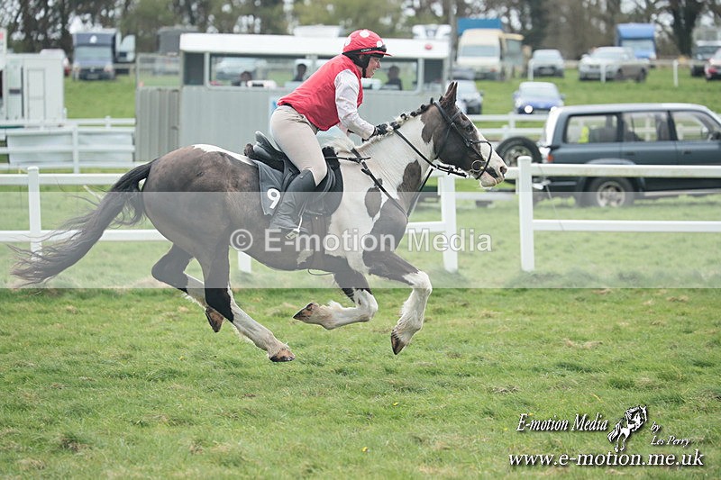 PtP 230324 157 - Tedworth Hunt PtP Larkhill Raccourse 23rd March 2024