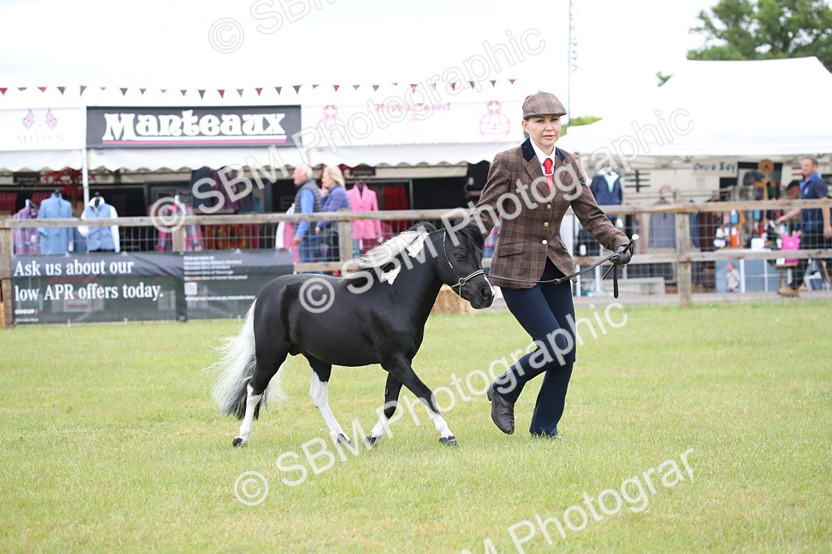 SBM_03720 - Class 23-25 - British Miniature Horse of the Year