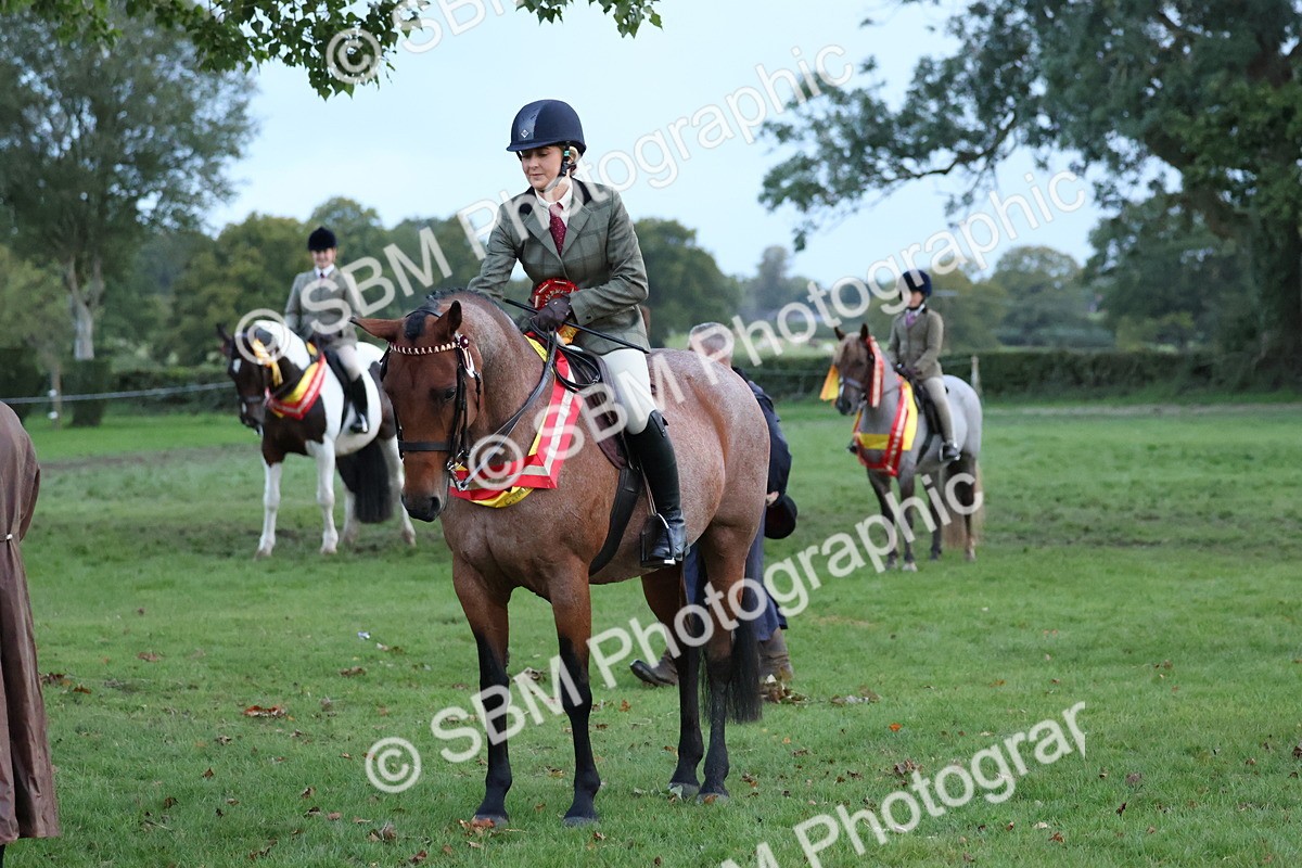 SBM_53483 - Super Supreme Championship (Sat)