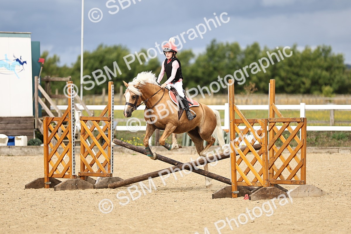 SBM_002928 - 50cm