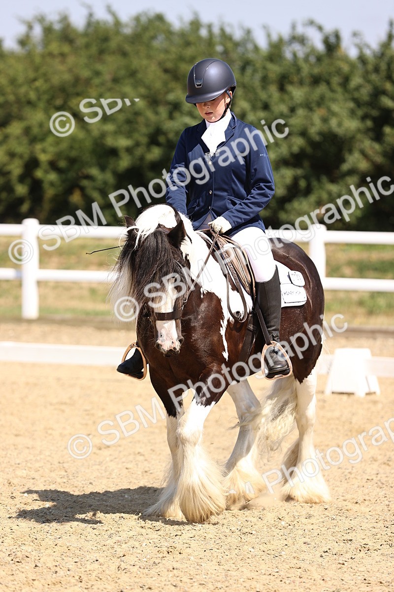 SBM_003741 - Intro 2