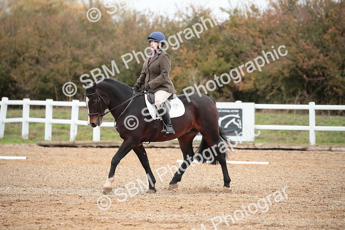 SBM_000448 - Intro 2