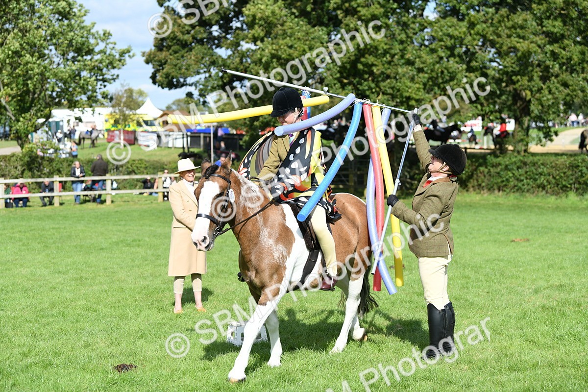 SBM_47126 - S12 - Family Horse & Pony