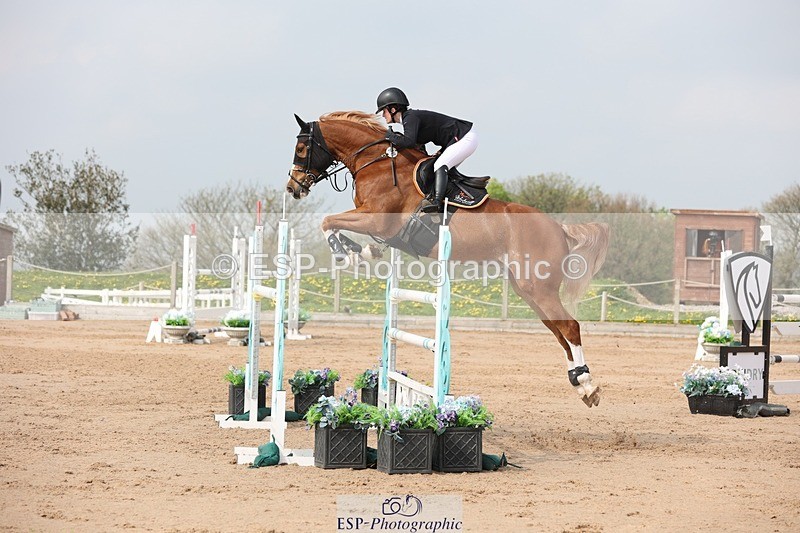 250424-110412-03370 - Cls 33 Young Horse 7yr old