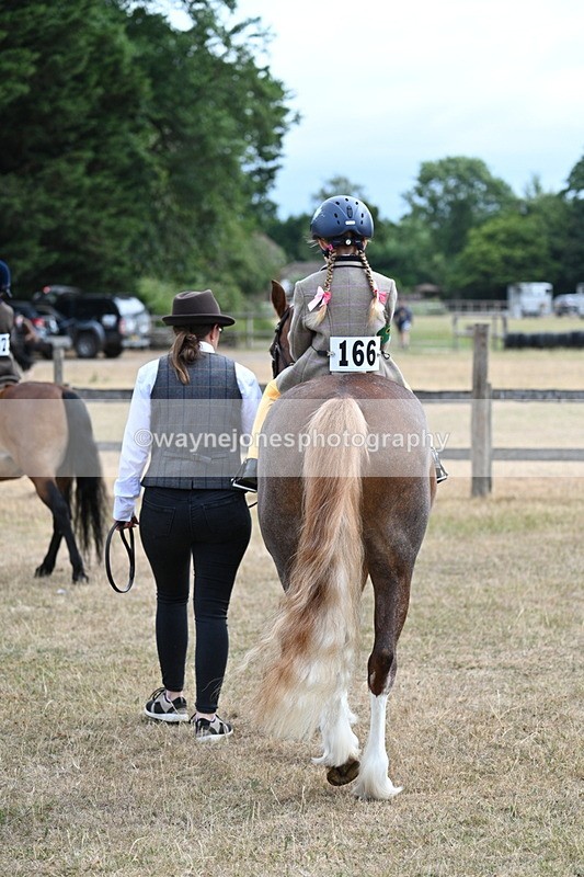 WJ7_6283 - Class 1 Lead Rein Pony