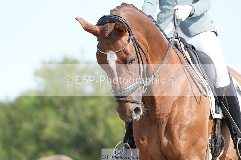 250815-101935-00395 - 009-Rebecca.HeavenAfortinius