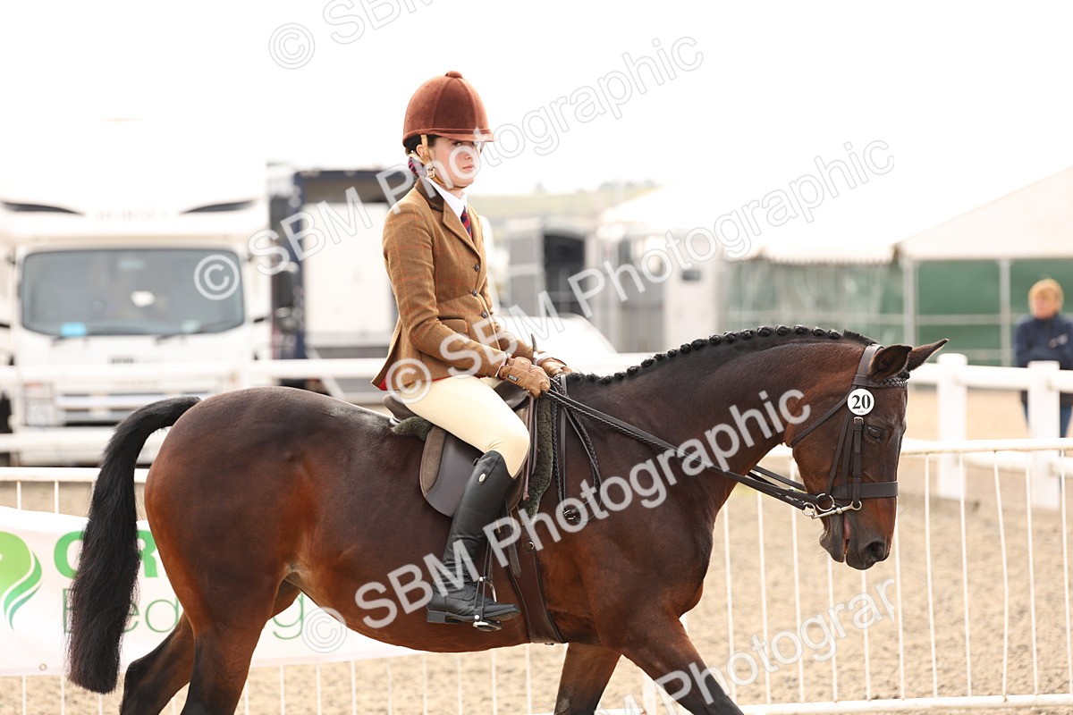 SBM_01617 - Class 52 - Ridden Veteran