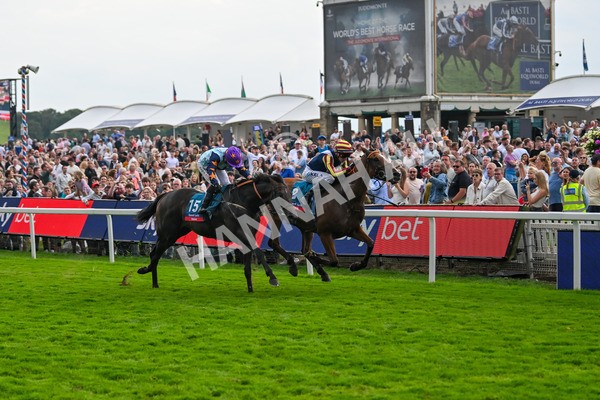 230825-Race 7-Dain Ma Nut In-0929 - Race 7 5.20pm Sky Bet Steve Birch Finale Handicap