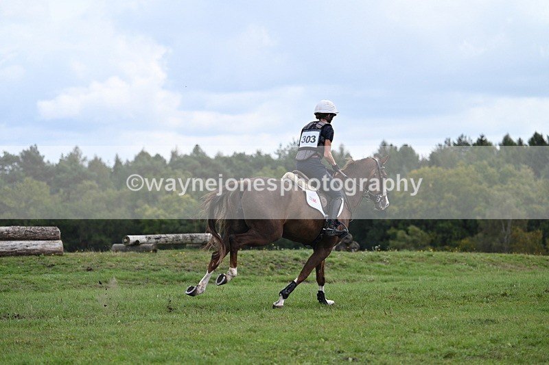 WJ7_1601 - Time 12:34 to 13:16