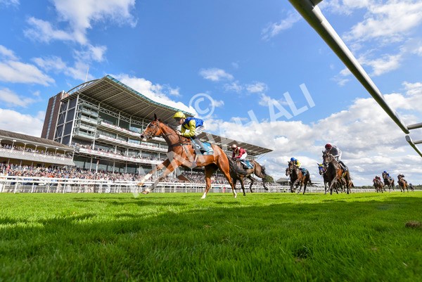 230824-Race 5-Canoodled-4338 - Race 5 4.10pm Assured Data Protection EBF Fillies' Handicap