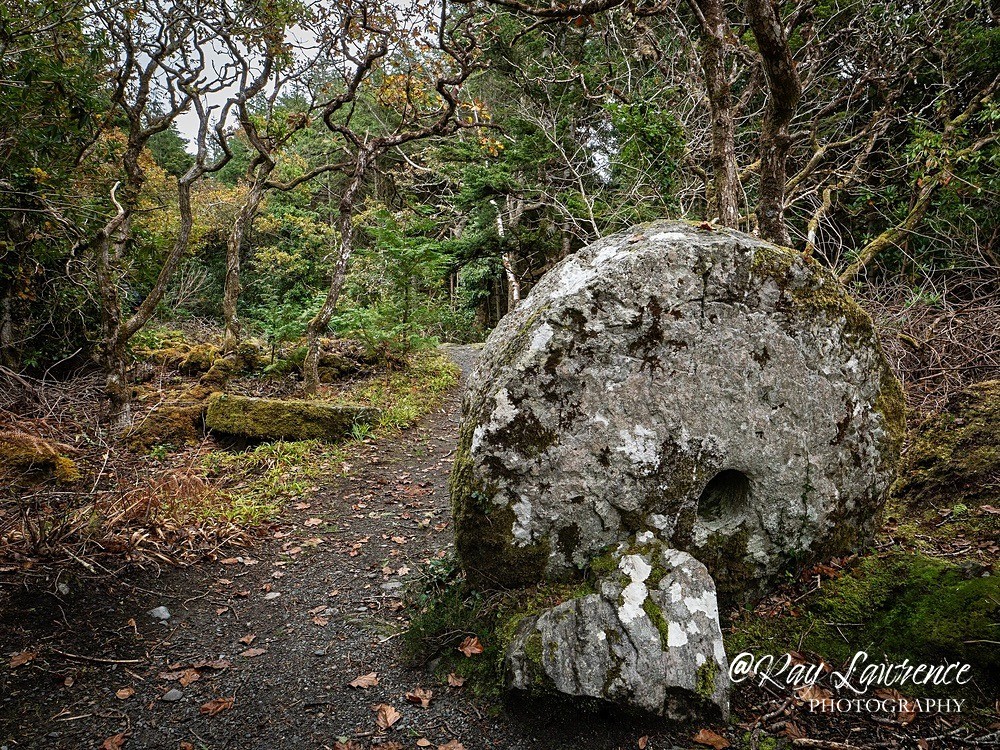 Republic of ireland Co Donegal_RLP946188 - Landscape Fine Art