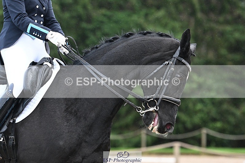 231110-144136-02005 - Cls 8 Medium 75Q