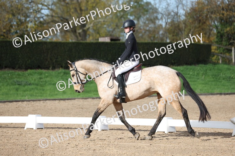 20251101-0294 - Class 2 - Prelim 1