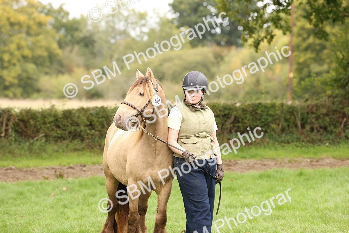 SBM_59352 - S57 - Traditional Cob In Hand