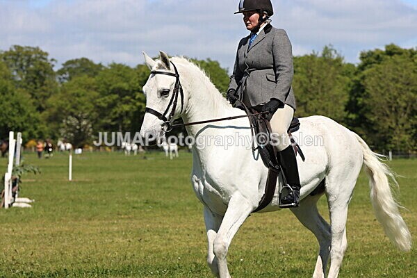 IMG_4181 - Working Hunter