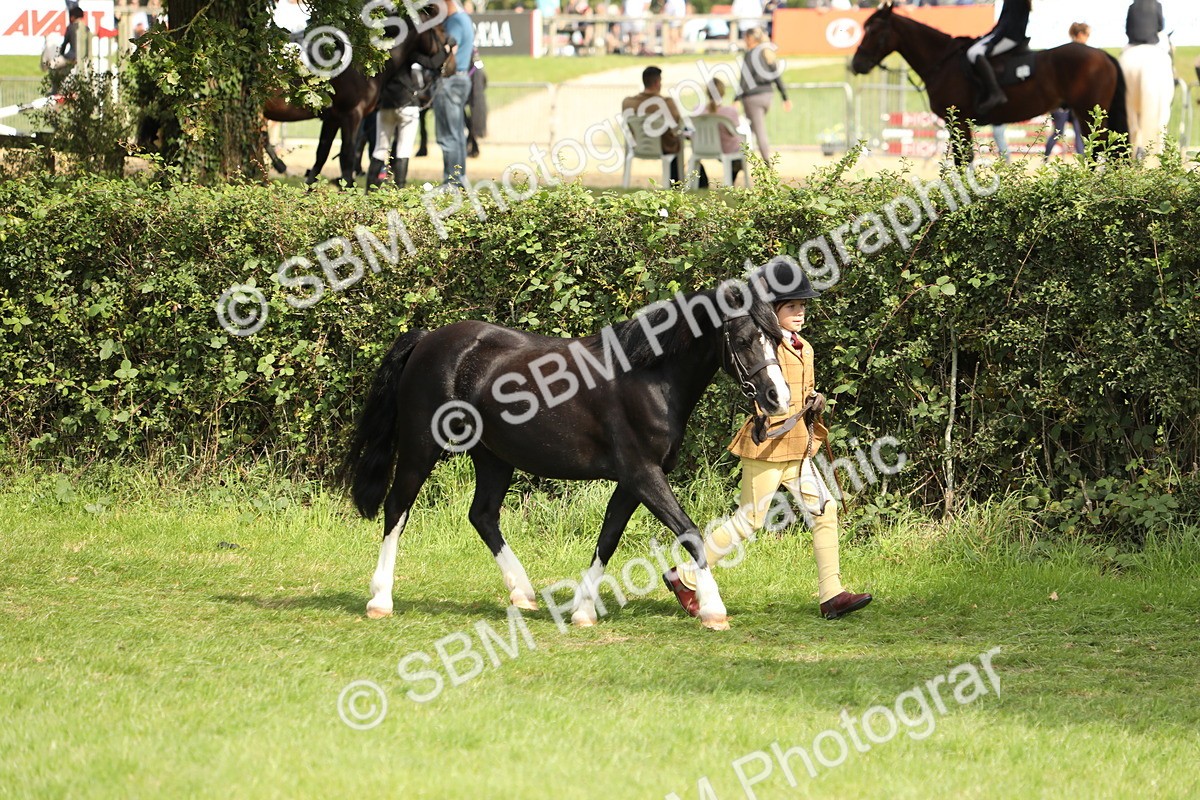 SBM_67733 - S39 - Junior Handler 8  Years & Under