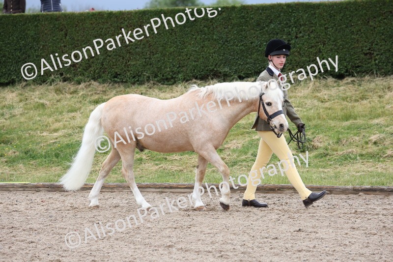 20250524-0007 - Class 1 - Best Condition