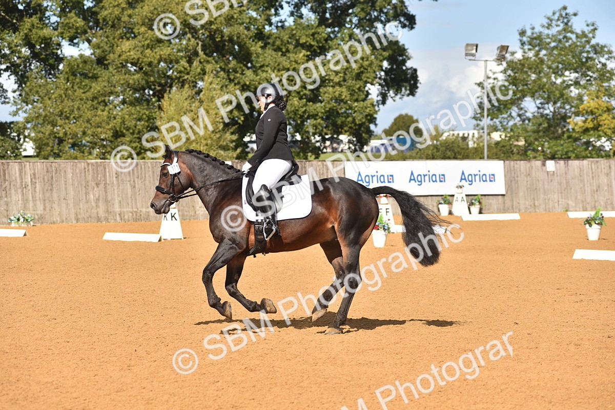 SBM_05512 - D15 - Small Tour Championship Novice 1