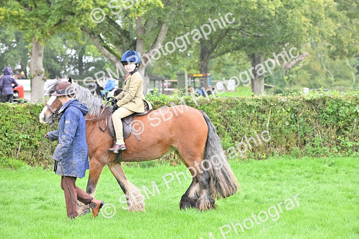 SBM_43034 - S12 - Family Horse & Pony