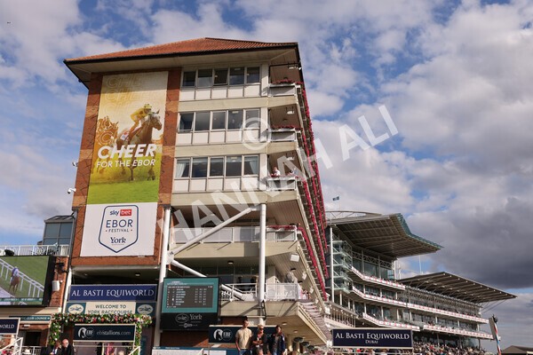 yr19082022r7-17 - Race 7 5.20pm Sky Bet Mile Stakes