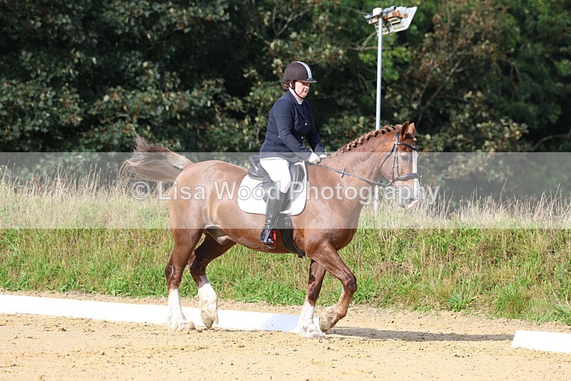 3E7A2226 - Class 1: Intro 4 2024 section A