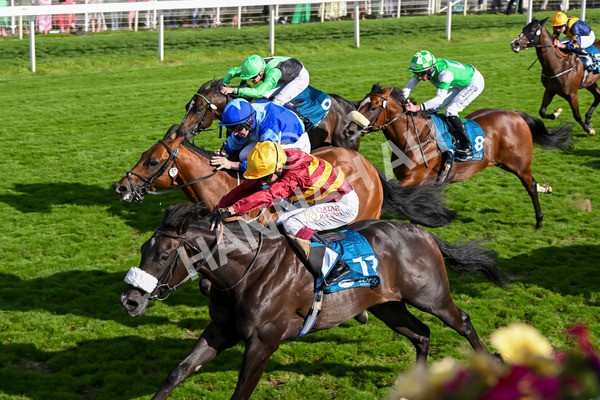 240824-Race 6-Tropical Storm-1859 - Race 6 4.45pm Julia Graves Roses Stakes