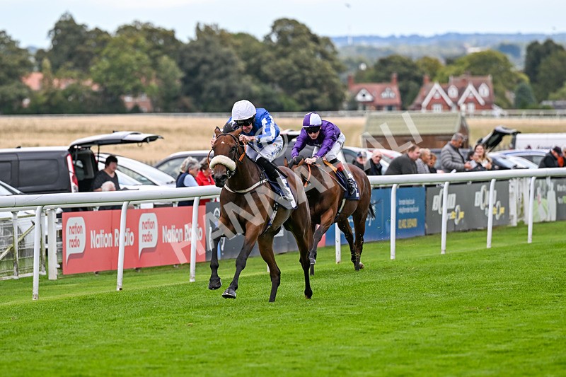 170925-Race 2-Lady Youmzain-4063 - Race 2