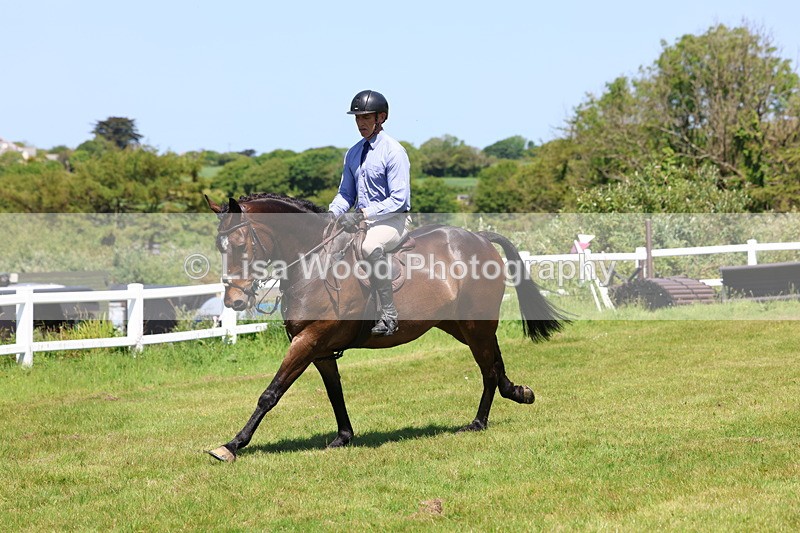 3E7A7251 - Class 30: Novice Working Hunter