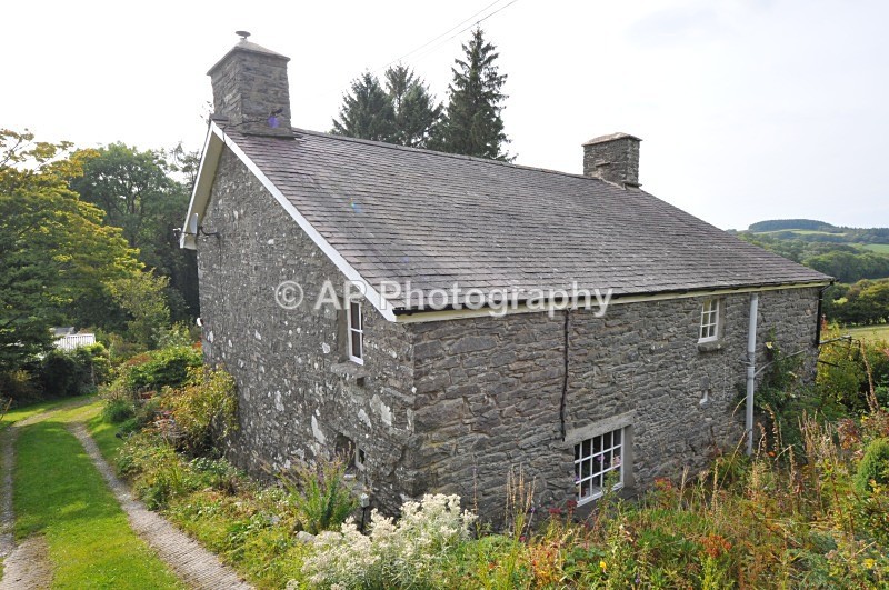 ACP_9162 - Estate Agency