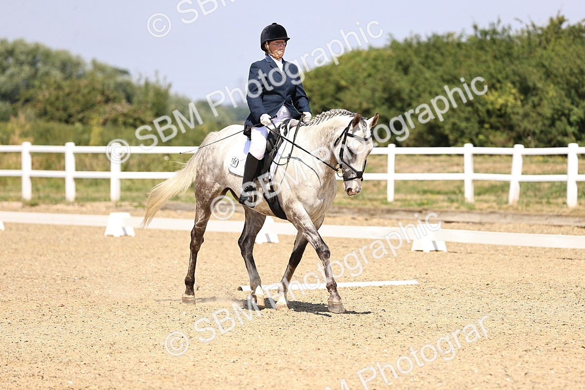SBM_003938 - Intro 2