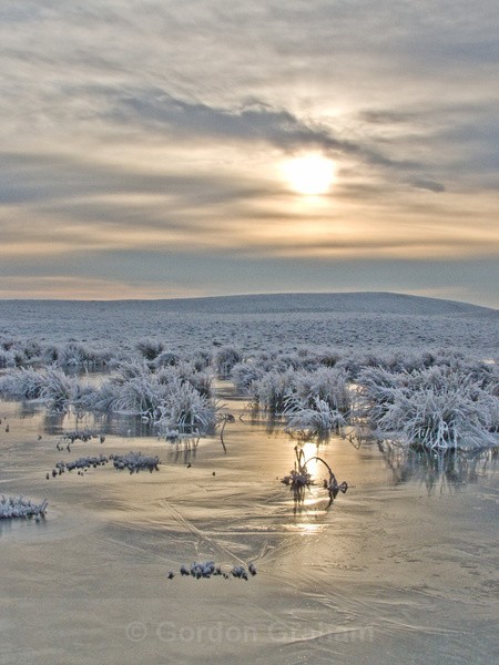 Frosty Landscape - General