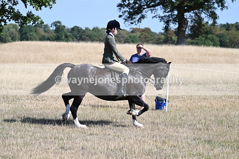 WJ7_3730 - Class 9 Mountain & Moorland Ridden