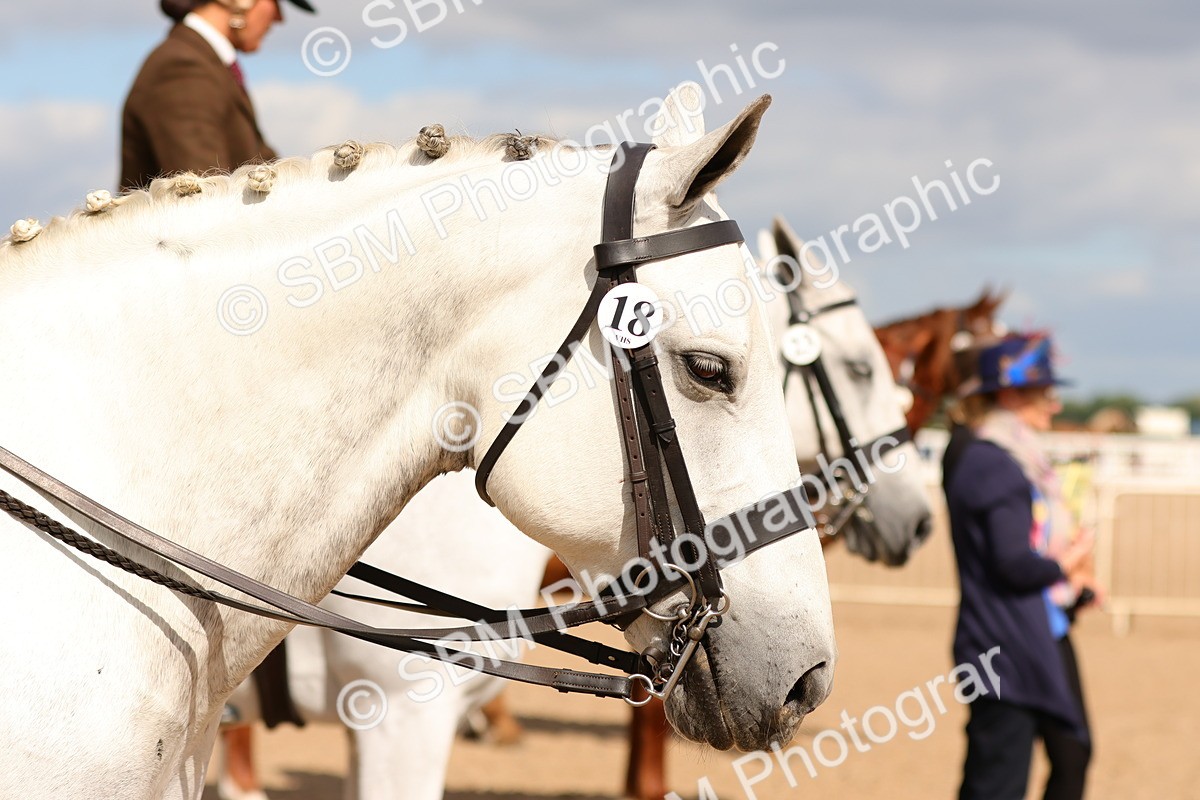 SBM_13215 - Class 211 - Ridden Hunter - Small