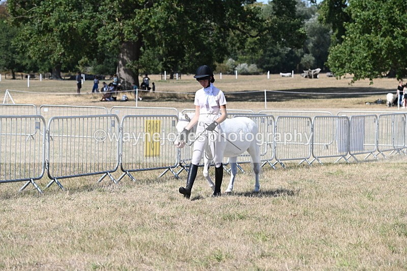 WJ6_9442 - Class 40 Cheekiest Pony/Horse