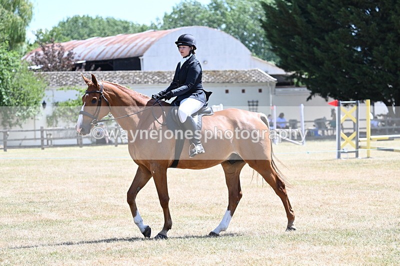 WJ7_2726 - Class 7 Riding Club Show Horse