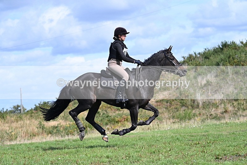 WJ7_2204 - Time 13:17 to 13:53