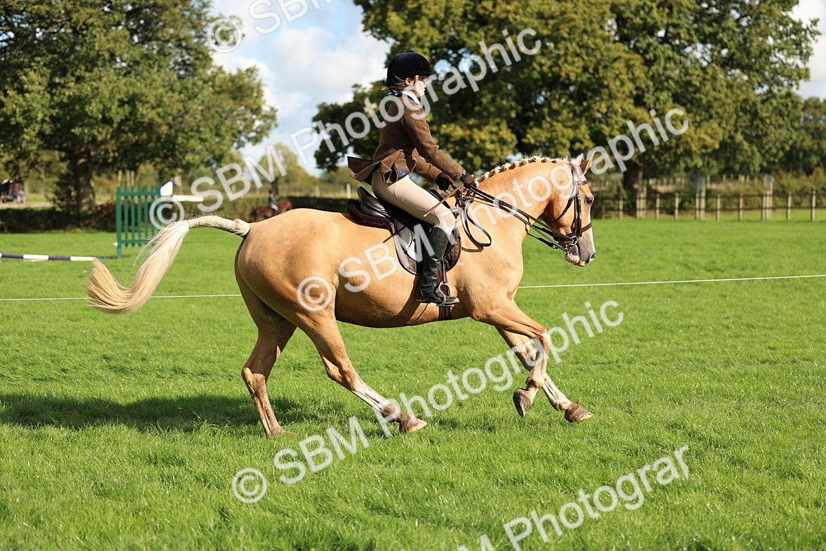 SBM_50077 - S34 - Novice & Newcomers Working Hunter