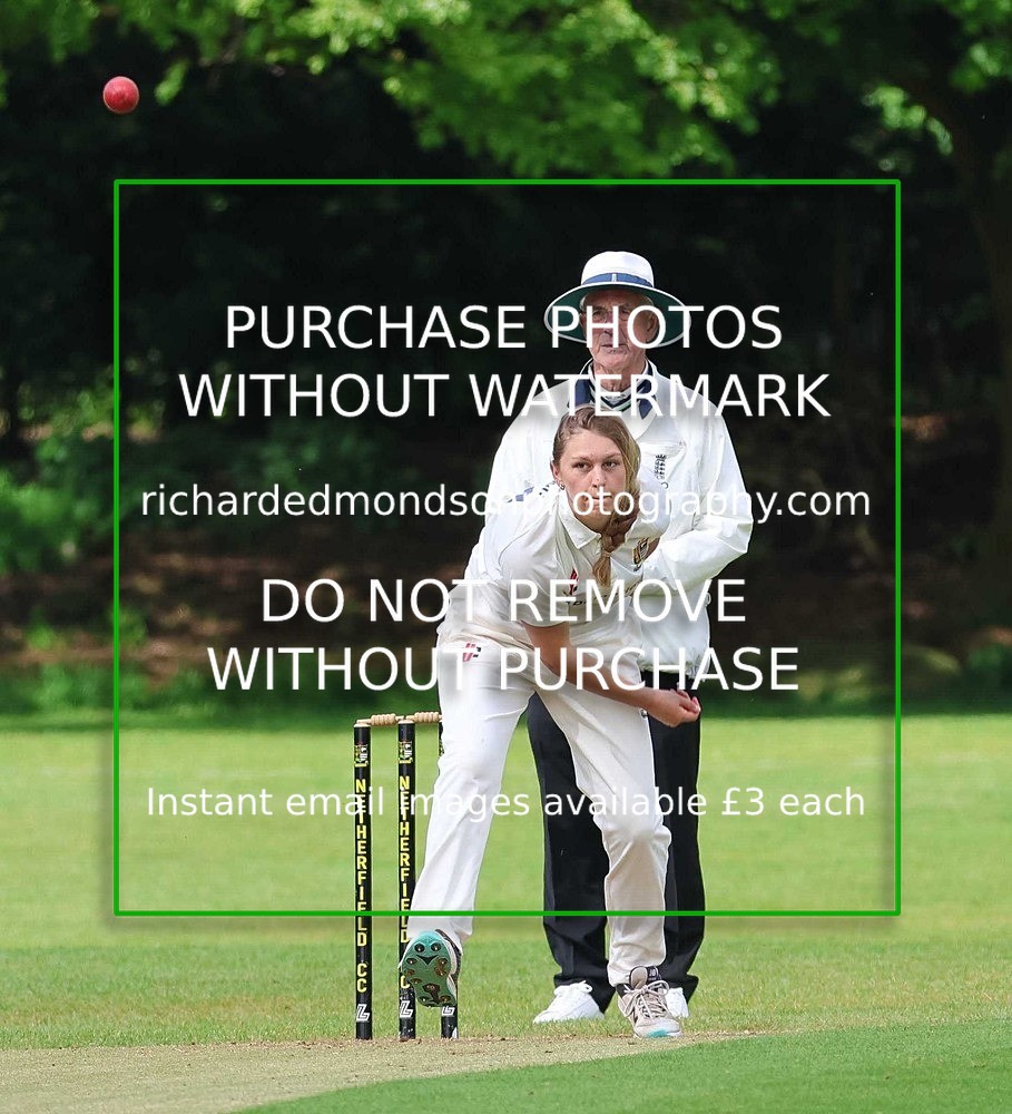 533A41621 - Netherfield Cricket Club 2026 season